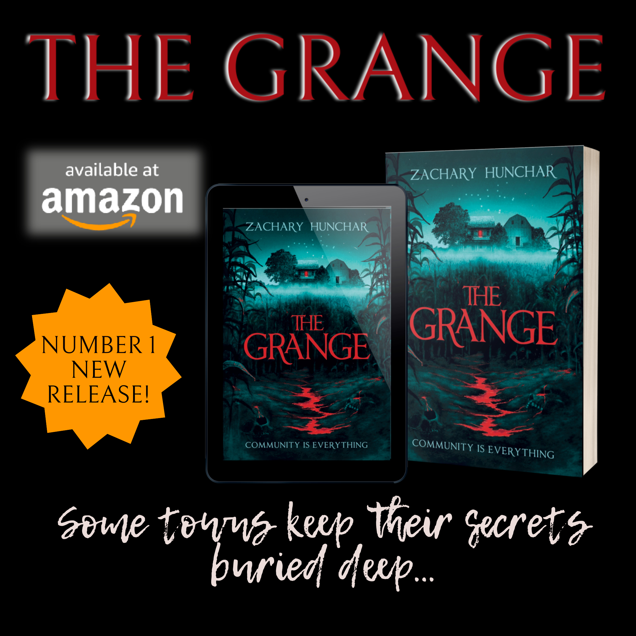 Image depicting the book and information about it being Number 1 in Amazon.